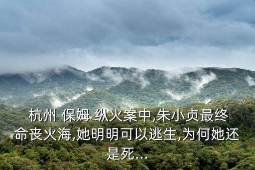 杭州保姆縱火案