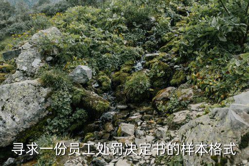尋求一份員工處罰決定書的樣本格式