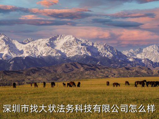 深圳市找大狀法務(wù)科技有限公司怎么樣