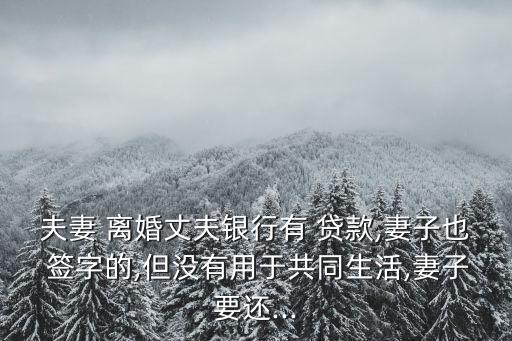 老公貸款我簽字了離婚,銀行貸款還不上最好的解決方法