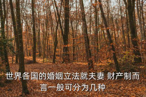 世界各國的婚姻立法就夫妻 財(cái)產(chǎn)制而言一般可分為幾種