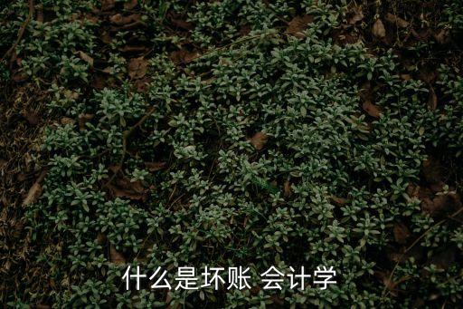 壞賬，什么是壞賬