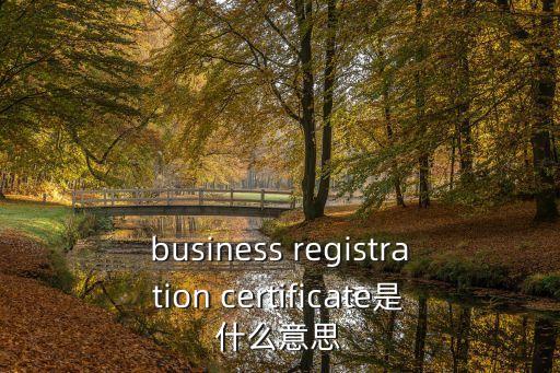 business registration certificate是什么意思