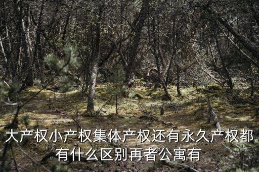 小產(chǎn)權(quán)多少年，大產(chǎn)權(quán)小產(chǎn)權(quán)集體產(chǎn)權(quán)還有永久產(chǎn)權(quán)都有什么區(qū)別再者公寓有