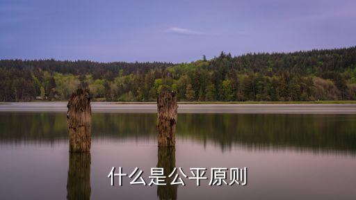 公平原則，什么是公平原則