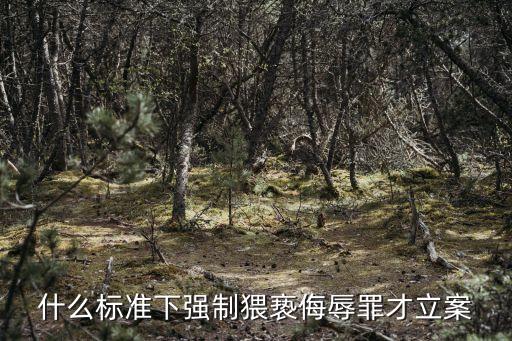 侮辱罪的立案標(biāo)準(zhǔn)，侮辱罪如何立案