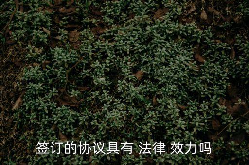 簽訂的協(xié)議具有 法律 效力嗎