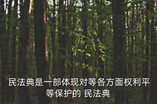 民法典繼承編草案,此次民法典繼承編突出了哪些理念