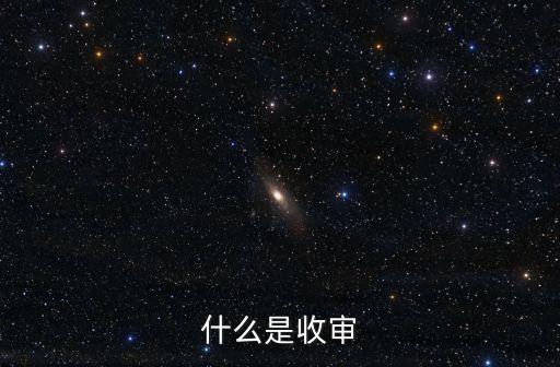 什么是收審