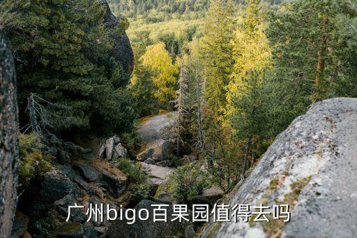 blgo,bigo