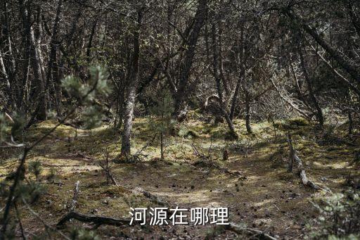 河源在哪理