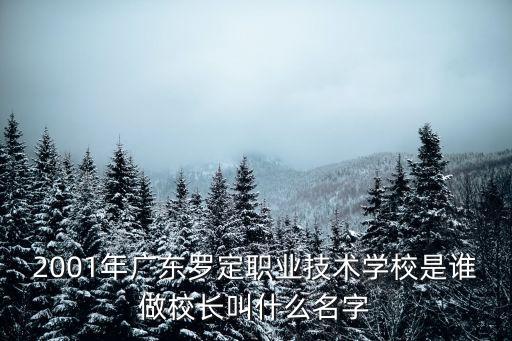 2001年廣東羅定職業(yè)技術(shù)學(xué)校是誰(shuí)做校長(zhǎng)叫什么名字