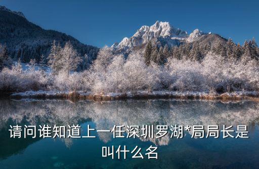 安惠君，請(qǐng)問(wèn)誰(shuí)知道上一任深圳羅湖*局局長(zhǎng)是叫什么名