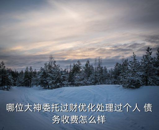 幫處理個(gè)人債務(wù),離婚個(gè)人債務(wù)怎么處理