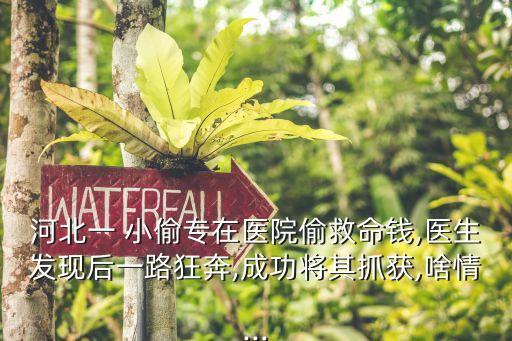 河北一 小偷專(zhuān)在醫(yī)院偷救命錢(qián),醫(yī)生發(fā)現(xiàn)后一路狂奔,成功將其抓獲,啥情...