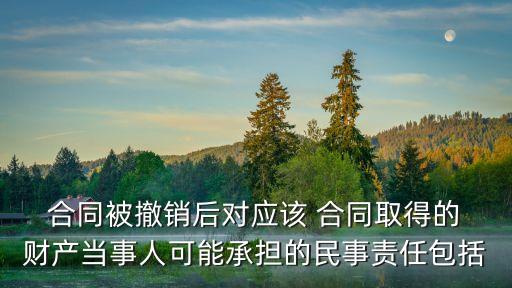  合同被撤銷后對應該 合同取得的 財產當事人可能承擔的民事責任包括