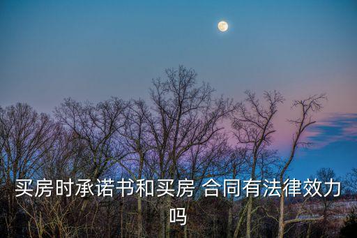 購房確認(rèn)單具有合同的性質(zhì)嗎