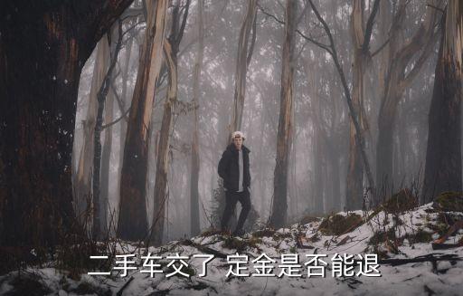  二手車交了 定金是否能退