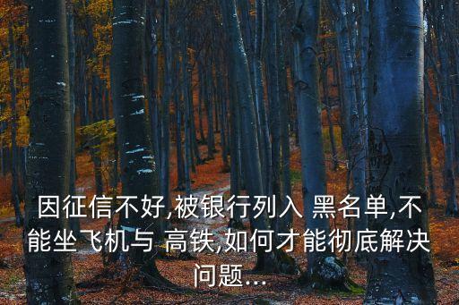 因征信不好,被銀行列入 黑名單,不能坐飛機(jī)與 高鐵,如何才能徹底解決問(wèn)題...