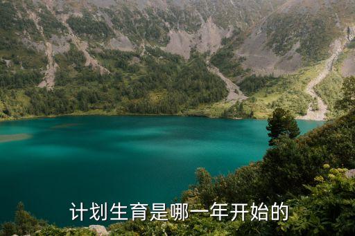 計(jì)劃生育基本國策,1982計(jì)劃生育基本國策