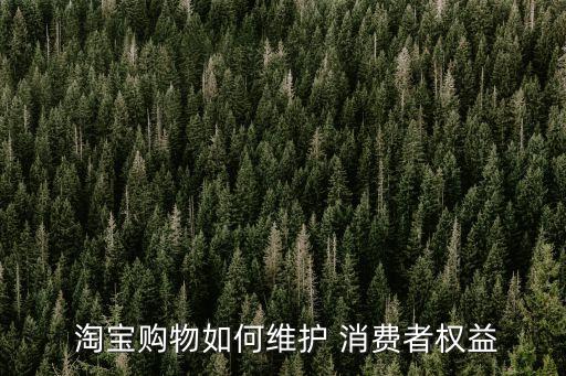 淘寶消費者