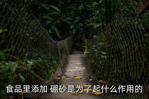 食品里添加 硼砂是為了起什么作用的