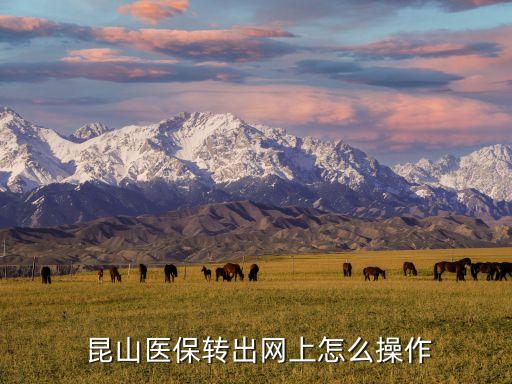  昆山醫(yī)保轉(zhuǎn)出網(wǎng)上怎么操作