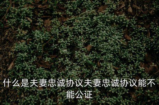 什么是夫妻忠誠(chéng)協(xié)議夫妻忠誠(chéng)協(xié)議能不能公證