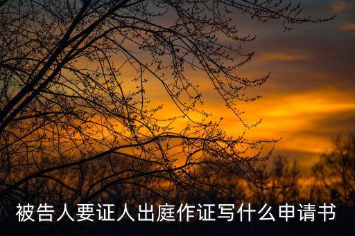 被告人要證人出庭作證寫什么申請(qǐng)書