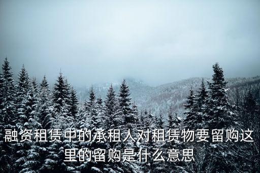 融資租賃中的承租人對租賃物要留購這里的留購是什么意思