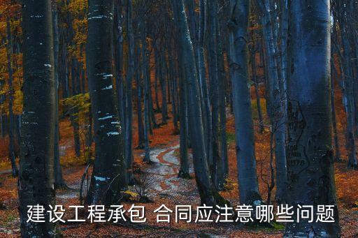  建設(shè)工程承包 合同應(yīng)注意哪些問題