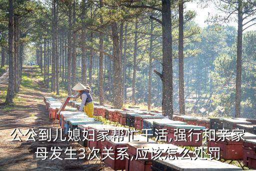 公公到兒媳婦家?guī)兔Ω苫?強(qiáng)行和親家母發(fā)生3次關(guān)系,應(yīng)該怎么處罰
