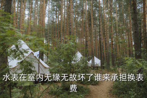 水表壞了更換水表費(fèi)用誰(shuí)承擔(dān)，水表在室內(nèi)無(wú)緣無(wú)故壞了誰(shuí)來(lái)承擔(dān)換表費(fèi)