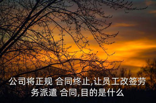 無(wú)效合同舉例說(shuō)明