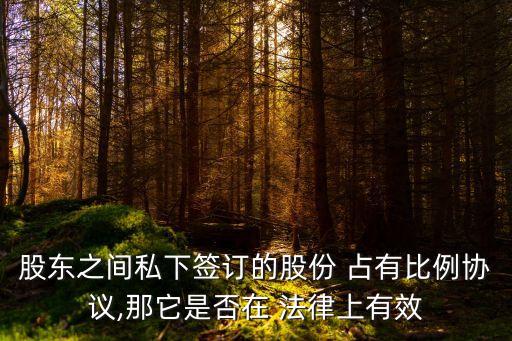 股東之間私下簽訂的股份 占有比例協(xié)議,那它是否在 法律上有效