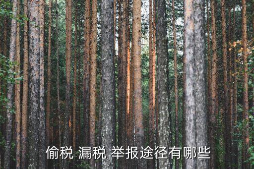  偷稅 漏稅 舉報(bào)途徑有哪些