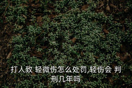 打人致 輕微傷怎么處罰,輕傷會 判刑幾年嗎