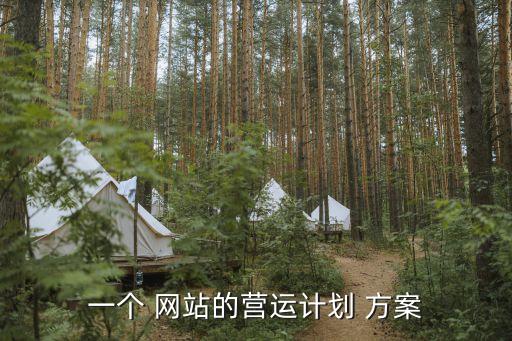 網(wǎng)站推廣策劃方案,海爾網(wǎng)站推廣策劃方案