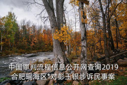 中國審判流程信息公開網(wǎng)查詢2019合肥瑤海區(qū)*對彭玉銀涉訴民事案