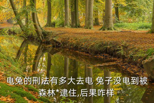 電兔的刑法有多大去電 兔子沒(méi)電到被森林*逮住,后果咋樣