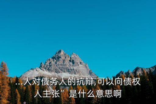 ...人對(duì)債務(wù)人的抗辯,可以向債權(quán)人主張”是什么意思啊