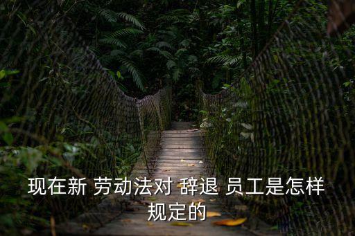 現(xiàn)在新 勞動(dòng)法對(duì) 辭退 員工是怎樣規(guī)定的