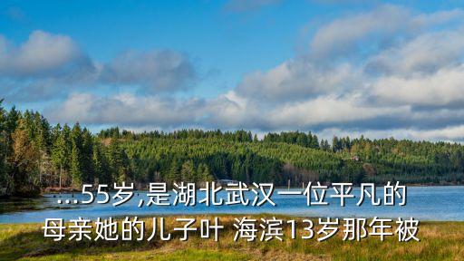 ...55歲,是湖北武漢一位平凡的母親她的兒子葉 海濱13歲那年被