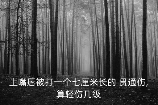 上嘴唇被打一個(gè)七厘米長的 貫通傷,算輕傷幾級(jí)