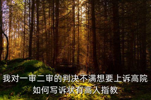我對一審二審的判決不滿想要上訴高院如何寫訴狀有高人指教