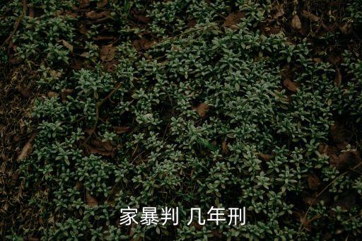家暴判幾年,老公家暴判幾年