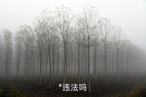 國際黃色網(wǎng)站,purnhurb下載教程