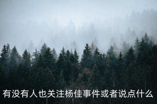 有沒有人也關(guān)注楊佳事件或者說點什么