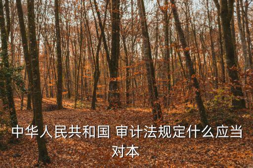 中華人民共和國 審計(jì)法規(guī)定什么應(yīng)當(dāng)對(duì)本