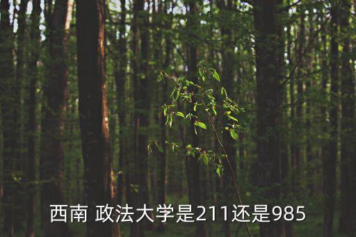 西南 政法大學(xué)是211還是985
